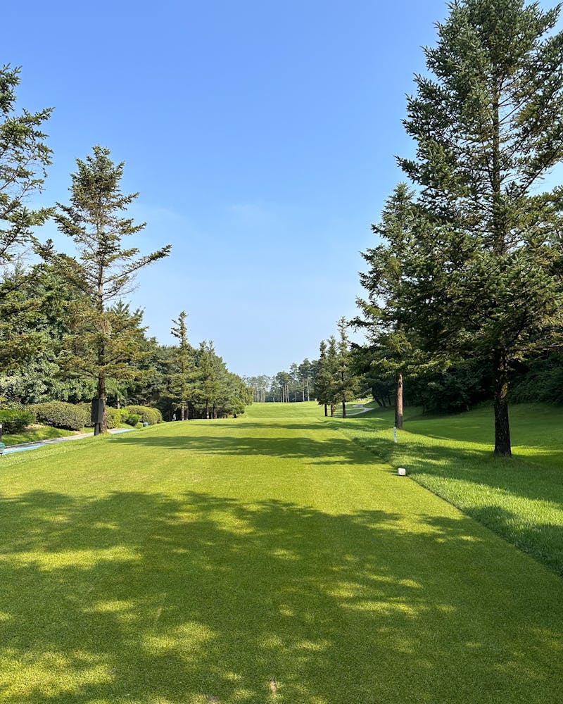 telek takarítás Szarvas, telek takaritas szarvas