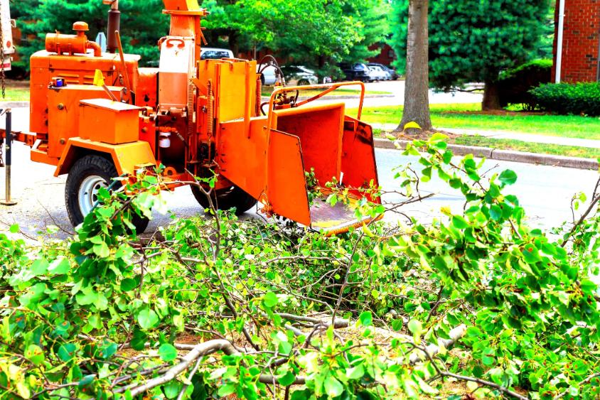 agdaralas szarvas, ágdarálás Szarvas