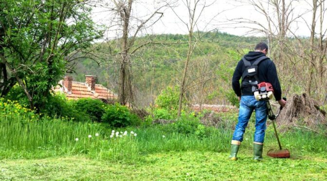 fűkaszálás Szarvas, fukaszalas szarvas